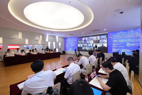 携手云端 共赢未来 中欧经贸与投资合作云峰会暨中国-中东欧跨境产业投资促进在线推介会圆满落幕